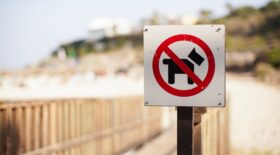 Red,And,Black,No,Dogs,Allowed,Sign,On,Wooden,Path